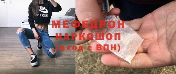 дживик Няндома