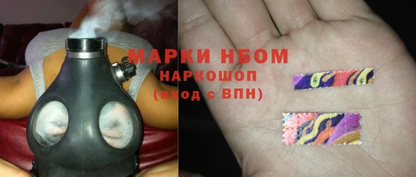 дживик Няндома