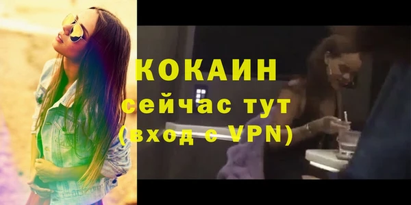 дживик Няндома