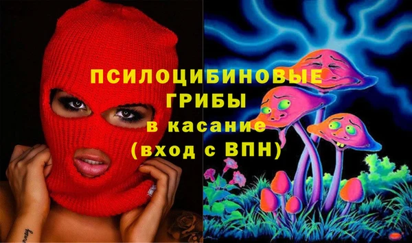 дживик Няндома