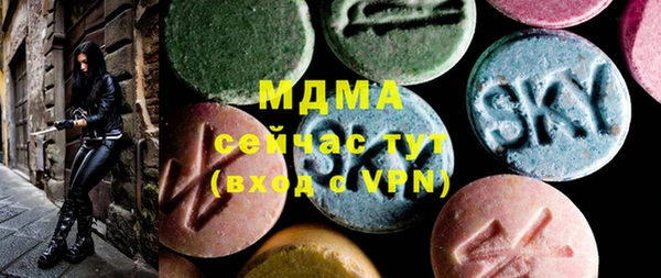 дживик Няндома