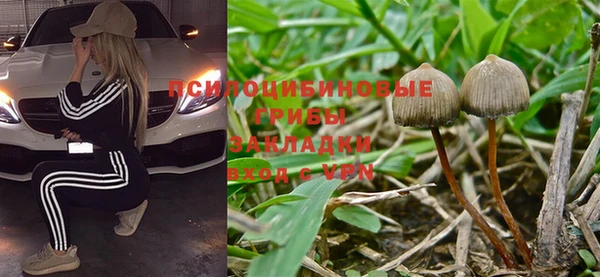 спиды Новокубанск