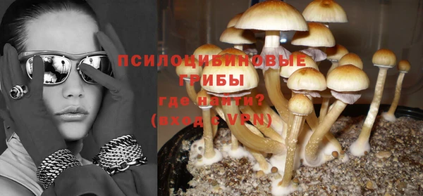 спиды Новокубанск
