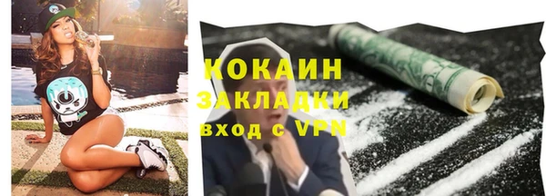 дживик Няндома