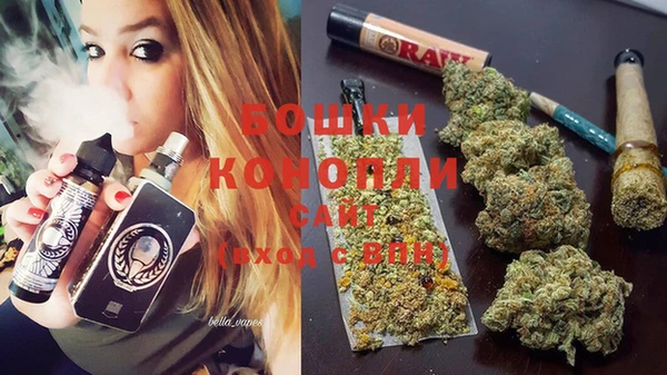 сатива Покачи