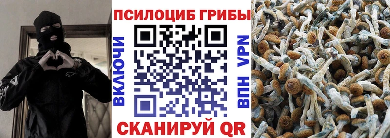 Галлюциногенные грибы Psilocybine cubensis  купить закладку  Исилькуль 
